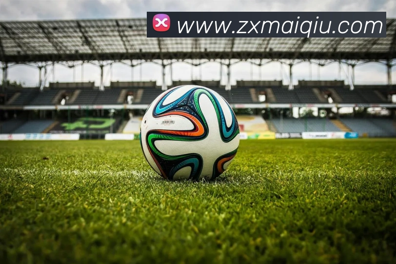 在线买球网站平台生态图