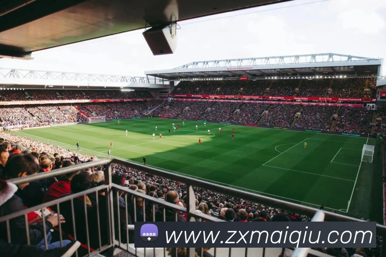 在线买球网站APP 封面图